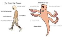 The Virgin Star People fell in love with clone bays The Chad Qu can't even visit stars travel the entire galaxy ☎ practice eugenics just look like humans only genetically modified once look like awesome bugs genetically modify everything made the galaxy more diverse mastered nanobots
