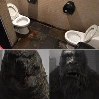 Godzilla vs Kong 