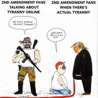 2ND AMENDMENT FANS TALKING ABOUT TYRANNY ONLINE WE MUST DEFEND AGAINST TYRANNY!! ער JOUQUETEE 2ND AMENDMENT FANS WHEN THERE'S ACTUAL TYRANNY JUST DON'T GET IT IN MY EYE