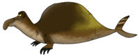 Spinofaarus