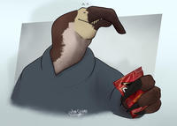 ohm Spino S FLAVOURED TORTILLA C