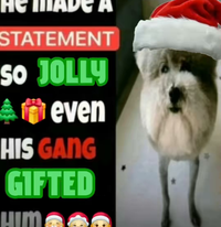 CA STATEMENT So JOLLY even HIS GANG GIFTED HIM
