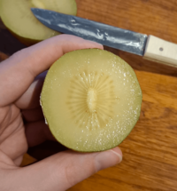 This kiwi has no seeds