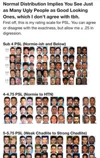 An example of the PSL Scale from the looksmaxxing community, which was shared by Twitter / X user deedydas in January 2024 in a thread discussing the forum.