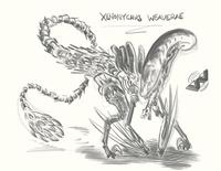 XENONYCHUS WEAVERAE