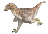 Hawksaurus