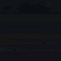 Lonely Penguin GIF