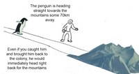 The penguin is heading straight towards the mountains some 70km away. Even if you caught him and brought him back to the colony, he would immediately head right back for the mountains