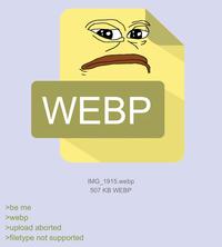 >be me >webp WEBP >upload aborted >filetype not supported IMG_1915.webp 507 KB WEBP