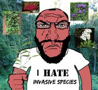 I HATE INVASIVE SPECIES