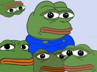 Five pepes looking at you