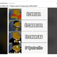 u/ReelDeadOne 13 days ago on Chiac #3 - J'Figure qui en a beaucoup a Montréal? ÉCUREUIL ÉTCHUREUIL ÉTCHUREAU S'Quirelle imgfjip.com