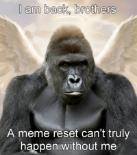 I am back, brothers A meme reset can't truly happen without me
