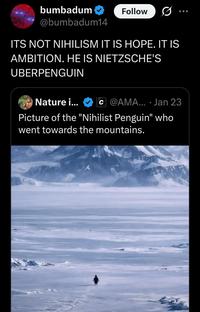 bumbadum @bumbadum14 Follow ITS NOT NIHILISM IT IS HOPE. IT IS AMBITION. HE IS NIETZSCHE'S UBERPENGUIN Nature i... C@AMA.... Jan 23 Picture of the "Nihilist Penguin" who went towards the mountains.