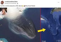 A Facebook post about the Leviathan conspiracy theory. It reads, "So this is what everyone is tlkn about🤐🤦🏽‍♀️they tryna freeze."