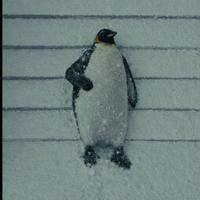 Jon snow at night watch for last 15 years | /r/FreeFolk