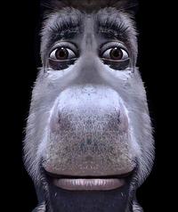 dunk in heaven looking down at the child he saved groom a teenager and cause the downfall of his hou...