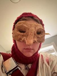 The PriceMaster Halloween Costume