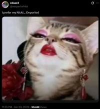 eduard @vespertwinks I prefer my Nicki... Deported 48 0 11:35 PM - Jan 30, 2026 104.6K Views