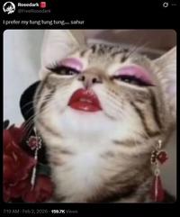 A meme of a cat looking down on someone. It reads, "I prefer my tung tung tung.... sahur."