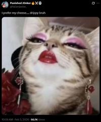A meme of a cat looking down on someone. It reads, "I prefer my cheese.... drippy bruh," referencing the "drippy cheese":https://knowyourmeme.com/memes/i-like-my-cheese-drippy-bruh meme.