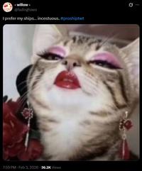 -willow- @fadingfoxes I prefer my ships... incestuous. #proshiptwt 0 7:59 PM - Feb 3, 2026 36.2K Views