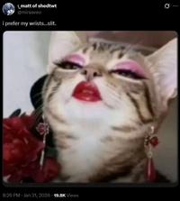 A meme of a cat looking down on someone. It reads, "i prefer my wrists…slit."
