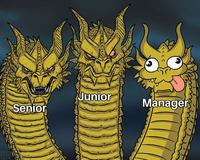 Senior MIKES ARSON 2019 Junior くくくく Manager