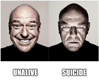 UNALIVE SUICIDE