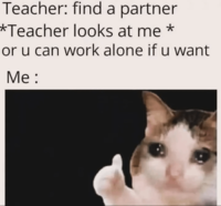 Teacher: find a partner *Teacher looks at me * or u can work alone if u want Me: