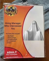 SPIRIT Hiring Manager Who Interviewed You *Kit Does Not Include* - feedback - salary range - compensation for completed project ADULT Size Costume ONE SIZE FITS MOST