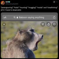 bbf @Blackboyfly005 "jestergooning" "foids” “munting” "mogging" "moids" and "chadfishing" all in 1 tweet is despicable AA a Baboon saying anything