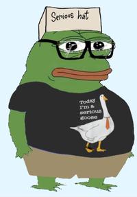 Serious hat Today I'm a serious goose