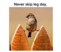 Never skip leg day.