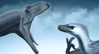 *Velociraptor interneticus* the dominant life form of the digital ecossystems, occupying the niche of apex ragebaiter