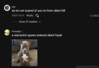 silent heel comment