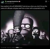 A meme. It reads, "how sealtwt mfs will GENUINELY look at you when you don't know the name of a 38 year old grey seal from a town with a population of 2:."