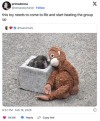 primadonna @versaceschanel · Follow this toy needs to come to life and start beating the group up @twaniimals 6:57 PM Feb 19, 2026 . 54.6K Reply Copy link X