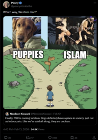 Penny @pennyelizabeths Which way, Western man? PUPPIES ISLAM imgflip.com Nerdeen Kiswani @NerdeenKiswani - Feb 12 Finally, NYC is coming to Islam. Dogs definitely have a place in society, just not as indoor pets. Like we've said all along, they are unclean. 4:43 PM - Feb 13, 2026 - 34.5K Views 78 217 2.6K 44 <]
