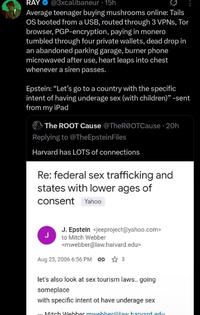 RAY @3xcalibaneur . 15h Average teenager buying mushrooms online: Tails OS booted from a USB, routed through 3 VPNs, Tor browser, PGP-encryption, paying in monero tumbled through four private wallets, dead drop in an abandoned parking garage, burner phone microwaved after use, heart leaps into chest whenever a siren passes. Epstein: "Let's go to a country with the specific intent of having underage sex (with children)" -sent from my iPad The ROOT Cause @TheROOTCause · 20h Replying to @TheEpsteinFiles Harvard has LOTS of connections Re: federal sex trafficking and states with lower ages of consent Yahoo J J. Epstein <jeeproject@yahoo.com> to Mitch Webber <mwebber@law.harvard.edu> Aug 23, 2006 6:56 PM 3 let's also look at sex tourism laws.. going someplace with specific intent ot have underage sex Mitch Webber mwebber@law harvard.edu.