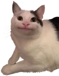 Transparent Template 