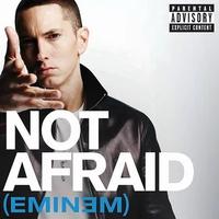 The original single cover art for Eminem's song "Not Afraid," which was later used in the Woe Plague Be Upon Ye and Eminem Throwing Things memes.
