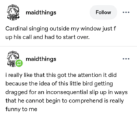 maidthings Follow Cardinal singing outside my window just f up his call and had to start over. maidthings i really like that this got the attention it did because the idea of this little bird getting dragged for an inconsequential slip up in ways that he cannot begin to comprehend is really funny to me