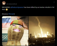 @makesmeferal BREAKING: @theburntpeanut has been killed by an Iranian missile in Tel Aviv. (Source: @Israel) NTION AR 1