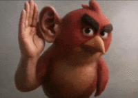 Angry Bird Ear Realistic