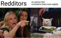 Redditors An opinion that contradicts theirs even slightly