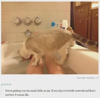 grayxvx: View high resolution You're putting way too much faith on me. If you slip we're both screwed and that's not how I wanna die.