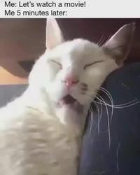 Me: Let's watch a movie! Me 5 minutes later: