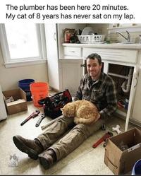 The plumber has been here 20 minutes. My cat of 8 years has never sat on my lap. ค กาล กท CAT OVERLOOS UE