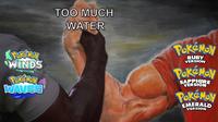 WINDS POKEMON WAVES TOO MUCH WATER POKEMON RUBY VERSION POKÉMON SAPPHIRE VERSION PokéMON EMERALD VERSION